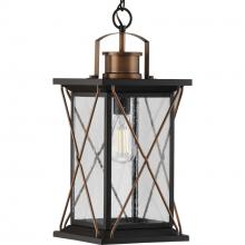 Progress P550068-020 - Barlowe Collection Antique Bronze One-Light Hanging Lantern
