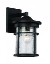 Trans Globe 40380 BK - Avalon Crackled Glass, Armed Outdoor Wall Lantern Light
