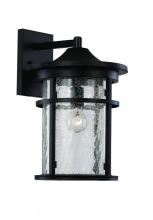 Trans Globe 40381 BK - Avalon Crackled Glass, Armed Outdoor Wall Lantern Light