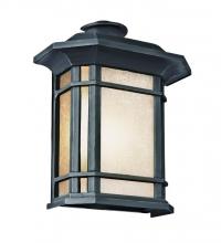 Trans Globe 5822-1 BK - San Miguel, Tea Stain Glass, Outdoor Pocket Lantern Wall Light