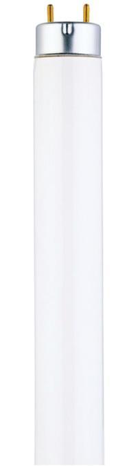 25W T8 Linear Fluorescent Cool White Medium BiPin Base, Sleeve