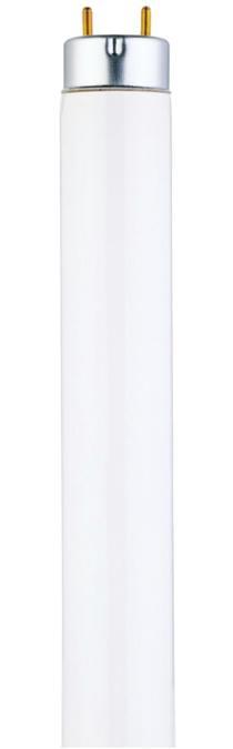 28W T8 Linear Fluorescent Cool White Medium BiPin Base, Sleeve