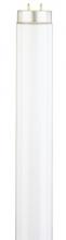 Westinghouse 0575200 - 40W T12 Linear Fluorescent  Cool White Deluxe Medium BiPin Base, Bulk Pack