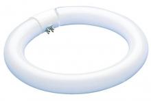 Westinghouse 0601000 - 22W T9 Circular Fluorescent Cool White 4-Pin Base, Hanging Box