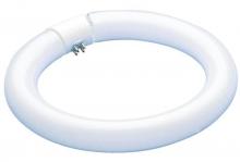 Westinghouse 0603000 - 40W T9 Circular Fluorescent Cool White 4-Pin Base, Hanging Box