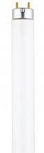 Westinghouse 0745600 - 25W T8 Linear Fluorescent Cool White Medium BiPin Base, Sleeve