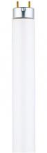 Westinghouse 3601500 - 28W T8 Linear Fluorescent Cool White Medium BiPin Base, Sleeve