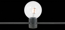 American Lighting LFS-12V-1-LED-WW - LED festoon socket