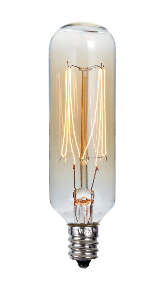 40W T Type Edison Style Incandescent Bulb