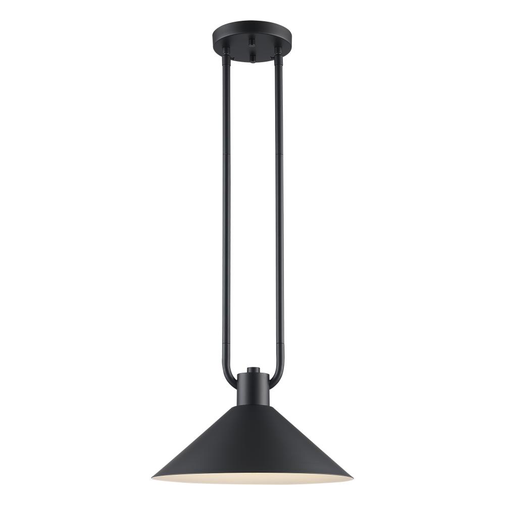 1LT PENDANT-12' DOUBLE ROD-BK