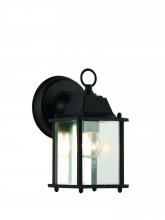 Trans Globe 40455 BK - 1LT WALL-SQUARE-OUTD-CLEAR GLA