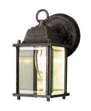 Trans Globe 40455 RT - 1LT WALL-SQUARE-OUTD-CLEAR BEV