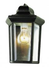 Trans Globe 4483 RT - 1LT WALL POCKET OUTDOOR
